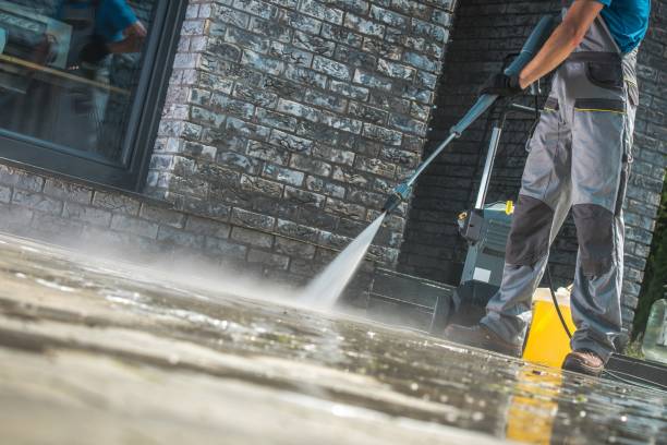 Best Roof Washing  in Woodbury Heights, NJ