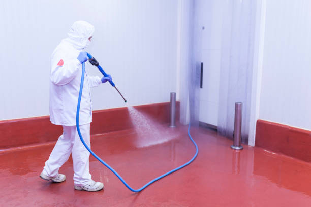 Best Heavy Equipment Washing  in Woodbury Heights, NJ