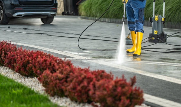 Best Playground Equipment Cleaning  in Woodbury Heights, NJ